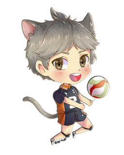 Волейбол Сугавара Кошка